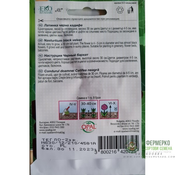 Латинка черно кадифе (ниска)