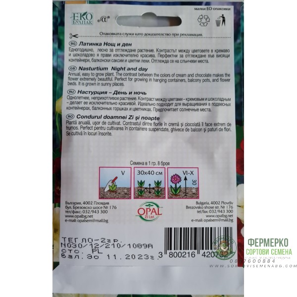 Латинка нощ и ден (ниска)