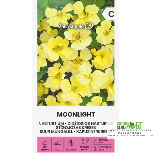 Латинка Лунна светлина / Tropaeolum nanum Латинка Лунна светлина / Tropaeolum nanum