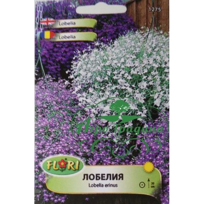 Лобелия микс