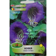 Кобея лилава