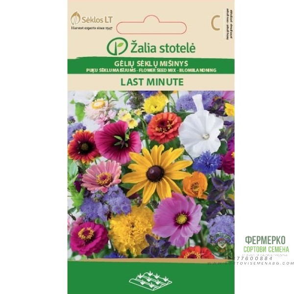 Цветен Микс В Последната Минута Last Minute