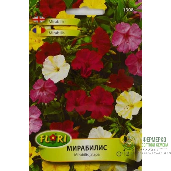Мирабилис (Нощна красавица) - Mirabilis jalapa