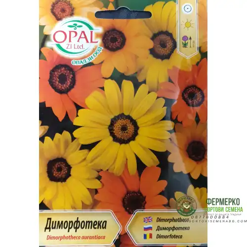 Диморфотека микс / Dimorphotheca aurantiaca