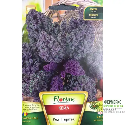 Кейл - ред пърпъл