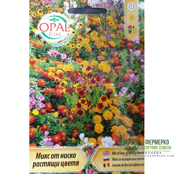 Микс от ниско растящи цветя