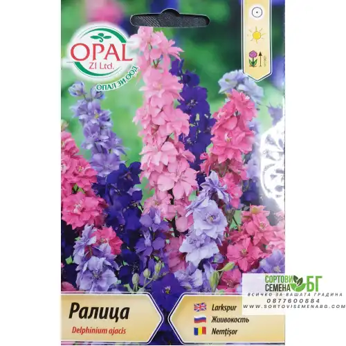 Ралица (Делфиниум ) / Delphinium ajacis