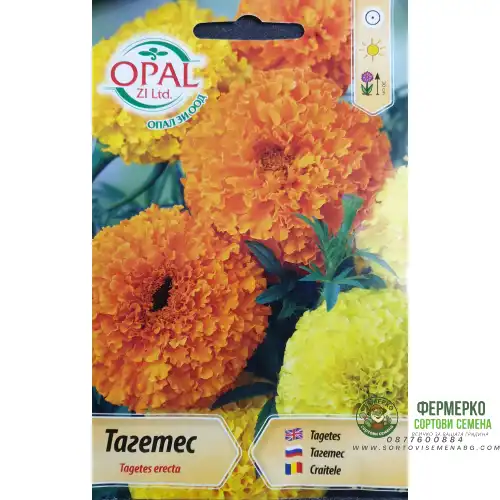 Тагетес едроцветен микс / Tagetes erecta
