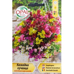 Каскадно Кученце Antirrhinum majes pendula