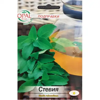 Стевия Stevia rebaudiana