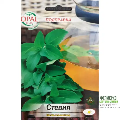 Стевия / Stevia rebaudiana
