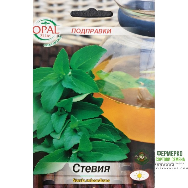 Стевия Stevia rebaudiana