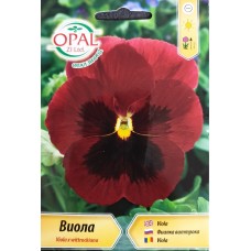 Виола Червена с черно Viola x wittroskiana