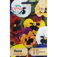 Виола Микс Viola x wittroskiana