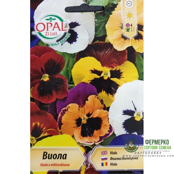 Виола Микс Viola x wittroskiana