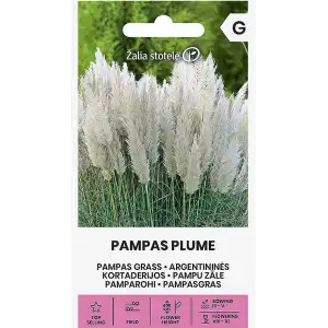 Пампаска трева Бяла / Cortaderia selloana Pampas plume