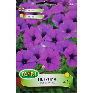 Петуния Пърпъл (лилава)