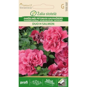 Петуния кичеста Дуо Салмон / Petunia hybrida multiflora