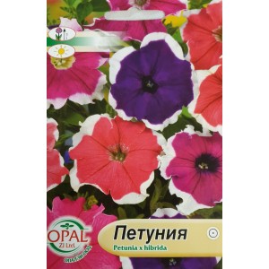 Петуния каскадна