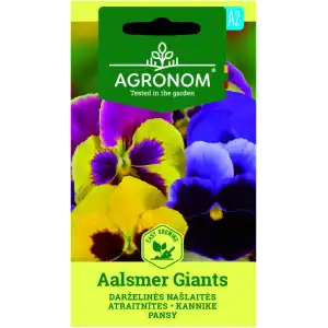 Виола Аалсмеер Гигант / Viola × wittrockiana