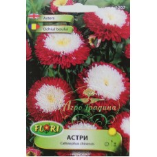 Астри Помпон червено с бяло