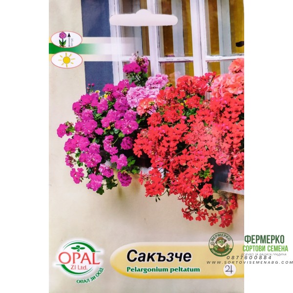Сакъзче Pelargonium peltatum
