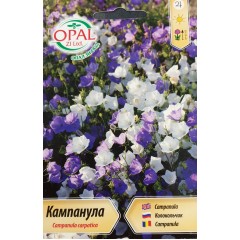 Кампанула Многогодишна