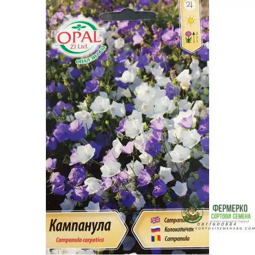 Кампанула Многогодишна