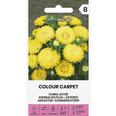 Астри Жълти Цветен килим Callistephus chinensis L Ness Colour Carpet