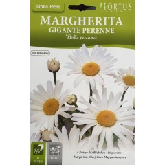 Маргаритка Многогодишна Гигант Bellis Perennis