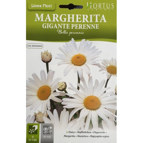 Маргаритка Многогодишна Гигант / Bellis Perennis