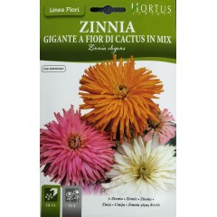 Циния Кактус Гигантска микс Gigante Fior di Cactus in mix
