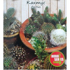 Кактус микс Cacyus mix