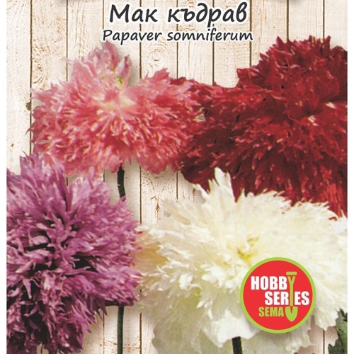 Семена за Мак къдрав / Papaver somniferum