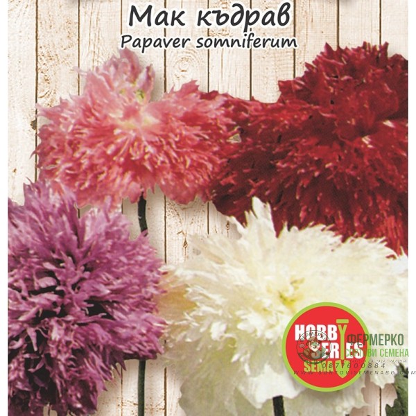 Семена за Мак къдрав Papaver somniferum