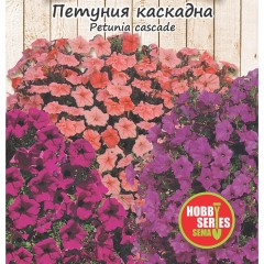Семена за Петуния каскадна Petunia x hybrida pendula