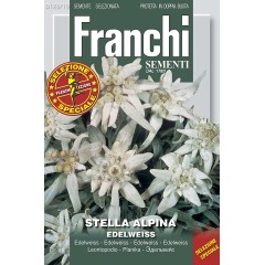 Семена за Еделвайс Edelweiss Stella Alpina