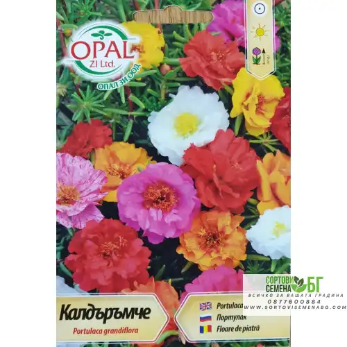 Калдаръмче смес