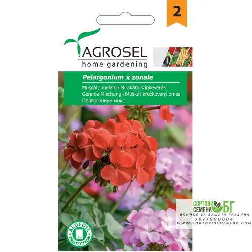 Семена за Мушкато (Pelargonium)