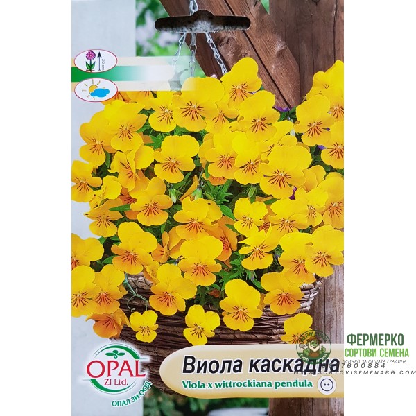 Семена от каскадна Виола (жълта)