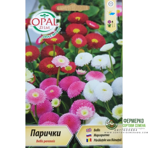 Семена за Парички, Белис