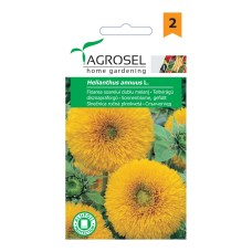 Семена за Слънчоглед Helianthus annuus