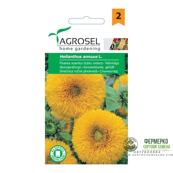 Семена за Слънчоглед Helianthus annuus