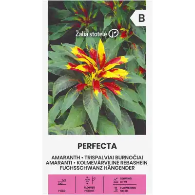 Амарант (Щир) Perfecta / Amaranthus gangeticus L