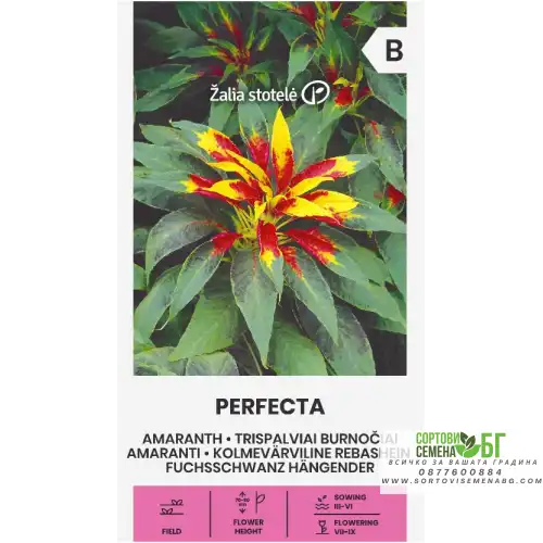 Амарант (Щир) Perfecta / Amaranthus gangeticus L