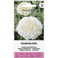 Тагетес Килиманджаро Tagetes erecta L.