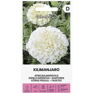 Тагетес Килиманджаро / Tagetes erecta L.