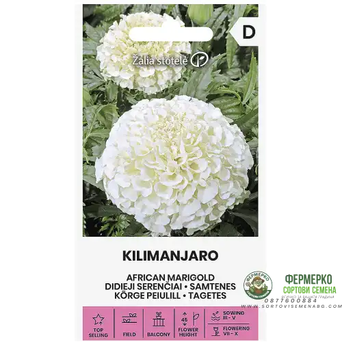 Тагетес Килиманджаро / Tagetes erecta L.