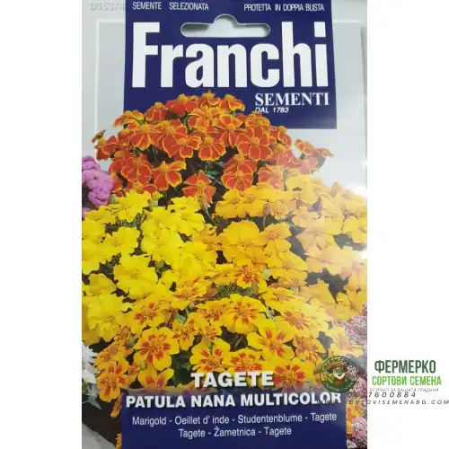 Тагетес нисък микс