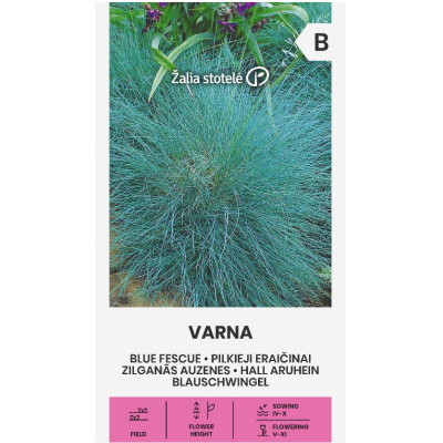 Декоративна трева Varna  / Festuca ovina Glauca